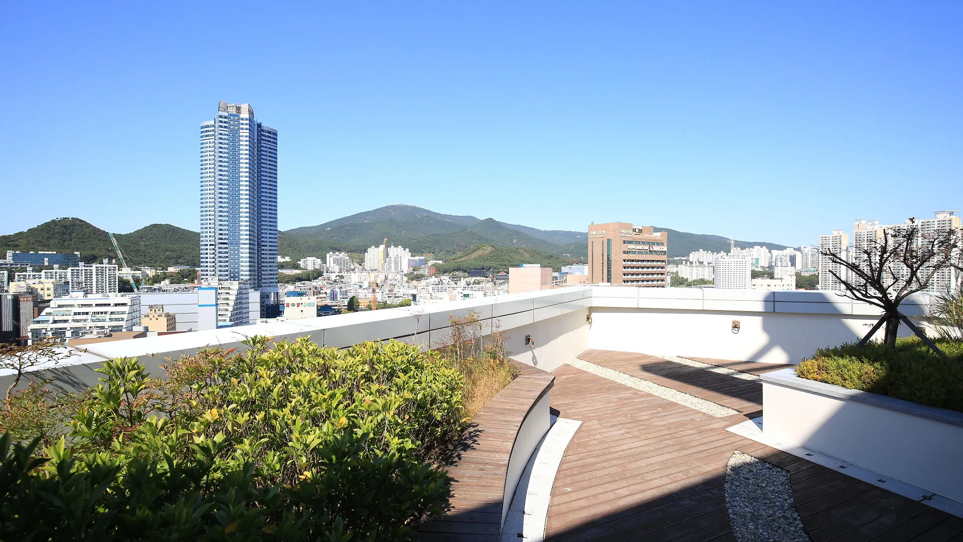 Where to Stay in Haeundae: 4 Best Beach Hotels Ranked