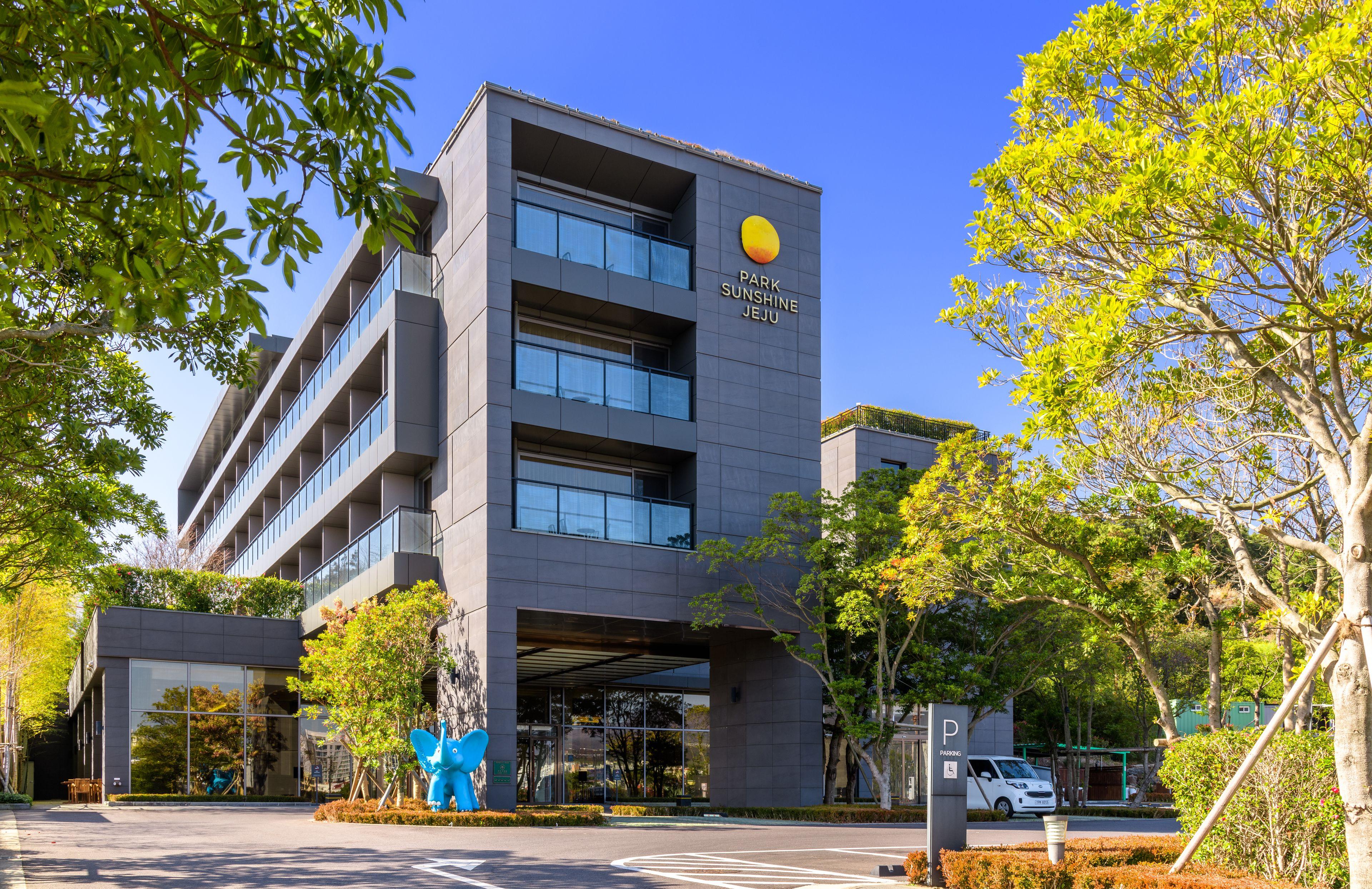 4 Exceptional Design Hotels in Jeju Worth Booking Now